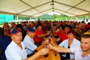 Mirna, 10 let DV Mirna, drustevni obicaj nazdravljanja, foto PEP (16)